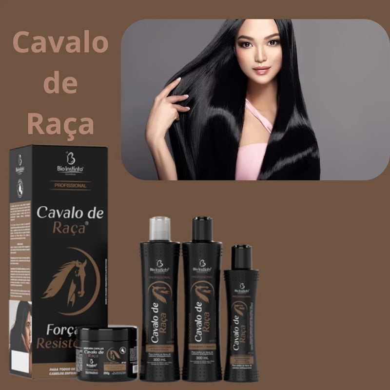 kit Cavalo de Raça Original